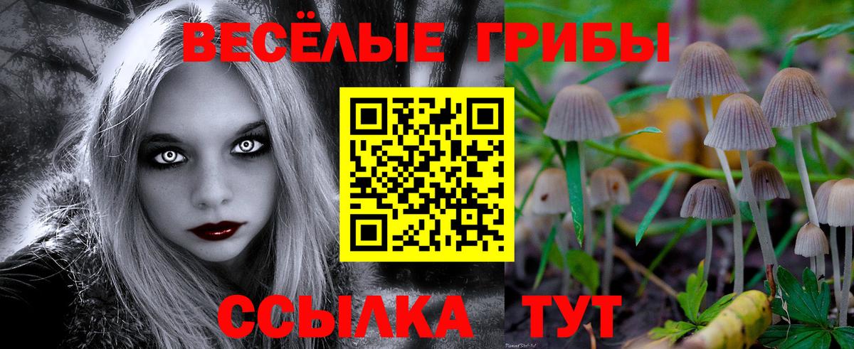 Псилоцибиновые грибы прущие грибы Каменск-Шахтинский